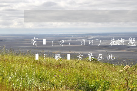 有錢(qián)花逾期天天打電話？解決方案在此！
